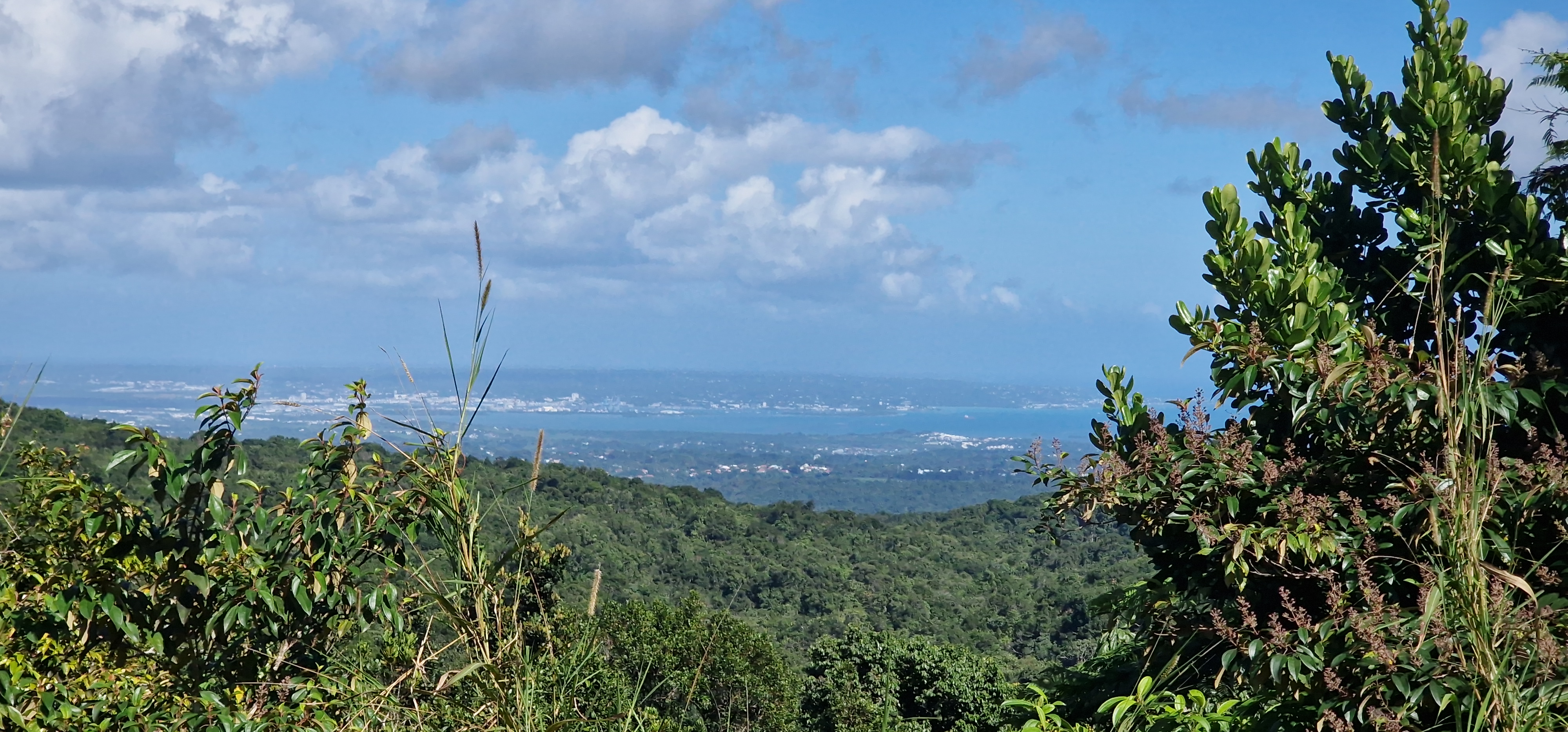 The view from Gites Des Mamelles The view from Gites Des Mamelles